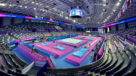 乐虎：了解塑胶跑道彩色颗粒材质的选择范围